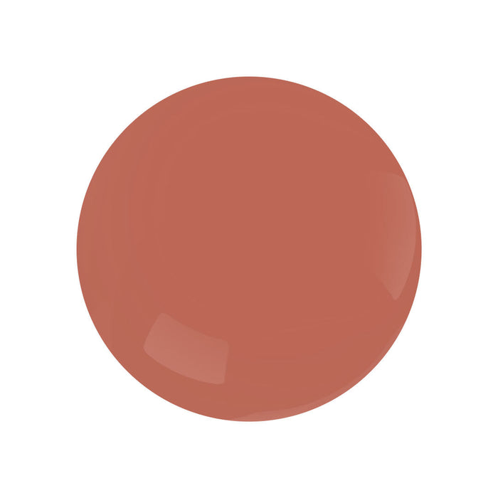 Antique Swatch 13 Brick Red paint color