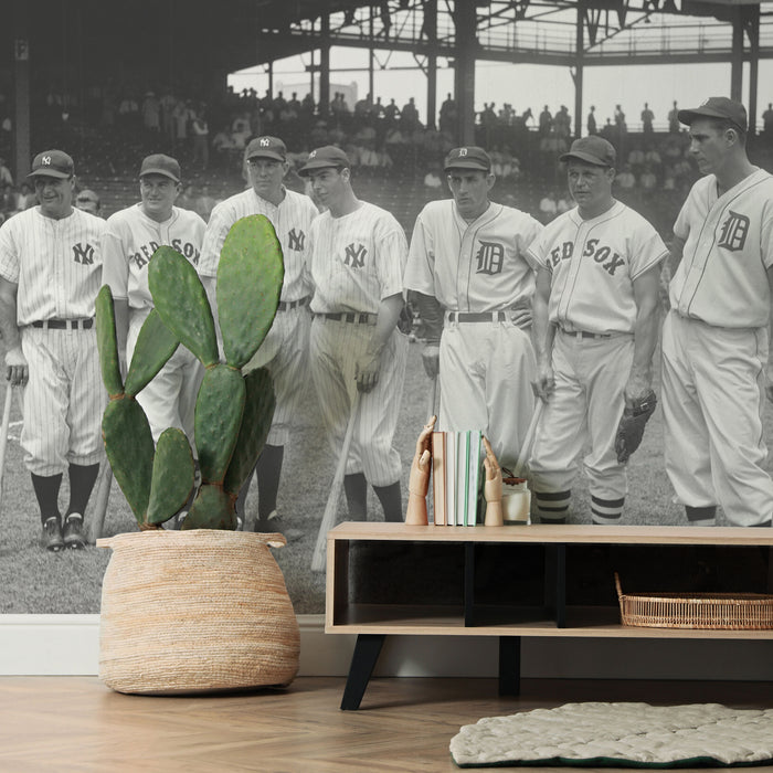 1937 Baseball All-Stars Wall Mural
