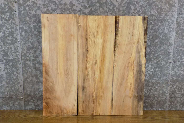 3- Kiln Dried Maple Rustic Lumber Boards/Wood Shelf Slabs 13761