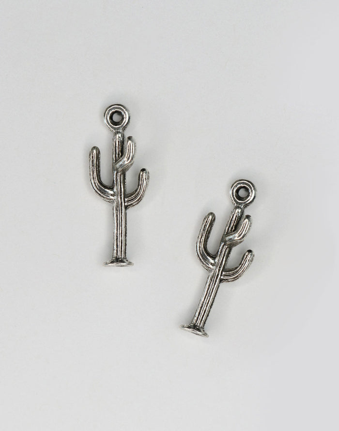PT437-060 Silver Cactus Charms