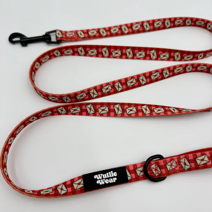Single Padded Handle Leash (Small)-Signed, Sealed, & Sniffed