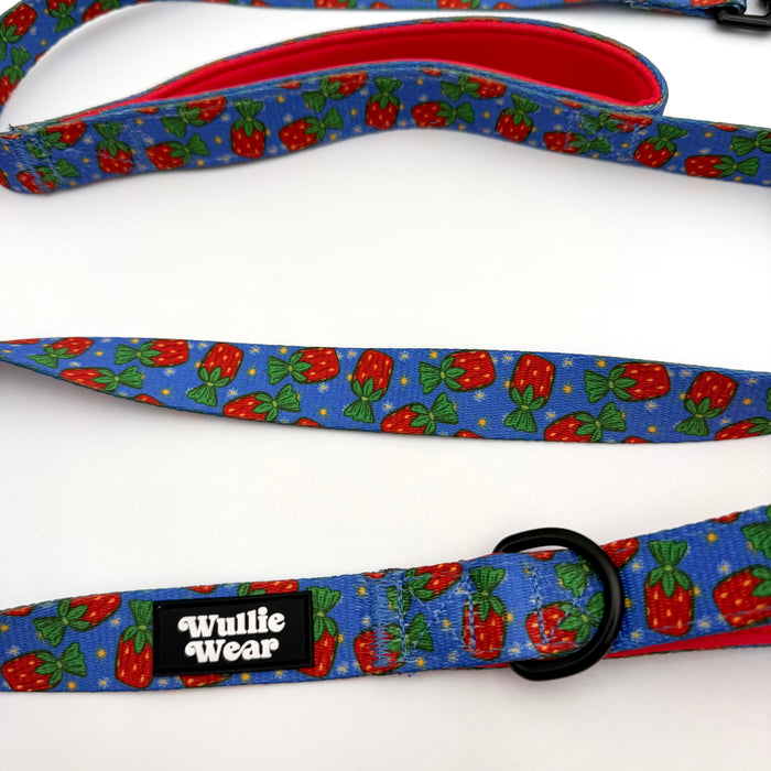 Dual Padded Handle Leash (Large)-Grandma's Candy Dish