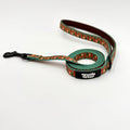 Single Padded Handle Leash- (Small)-Hoppy Pups