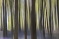 Abstract Motion Forest Wallpaper Mural - full design view - Eazywallz