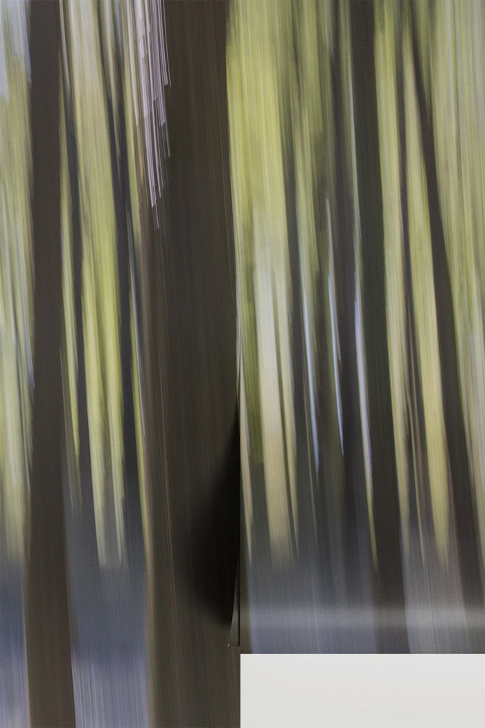 Abstract Motion Forest Wallpaper Mural - two panel view - Eazywallz