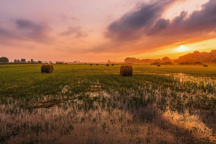 Autumn Sunrise Over Hay Field