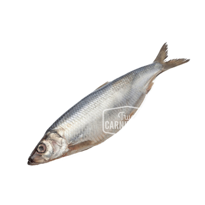 Back 2 Basics Bulk BC Whole Herring