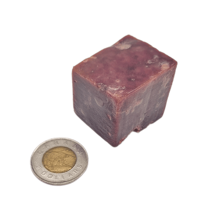 Bulk Beef Liver Bites - Frozen Raw Add-On shown as a 2-3 cm reddish cube beside a toonie for scale, ideal for pet diets or treats.
