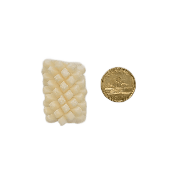 Back 2 Basics Calamari Florets 500g, small scored squid piece beside a loonie for scale, showcasing its compact size and pet-friendly design.