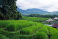 Balinese Landscape Wall Mural-Wall Mural-Eazywallz