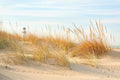 Beach Scene in Michigan Wall Mural-Wall Mural-Eazywallz