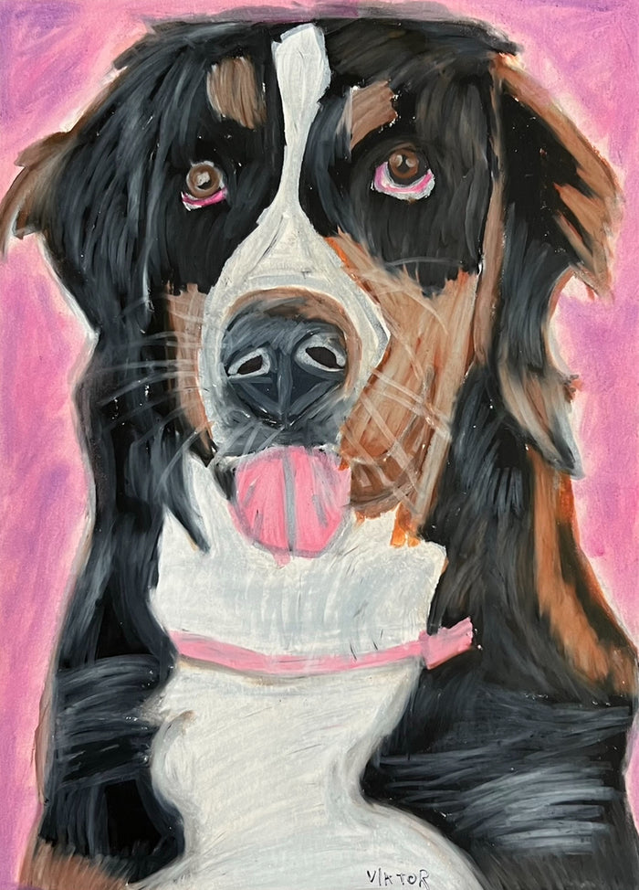 Bernese Dog - Art Prints