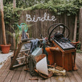Birdie on vinyl by artist Slaughter Beach, Dog available at REB Records in store and online
