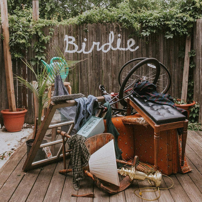 Birdie on vinyl by artist Slaughter Beach, Dog available at REB Records in store and online