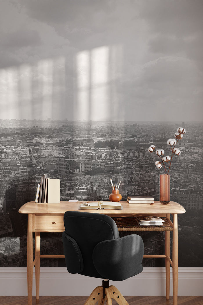 Black and White View of Paris