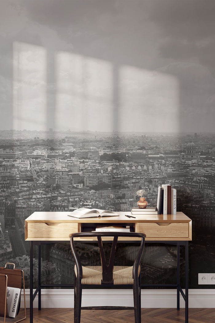 Black and White View of Paris