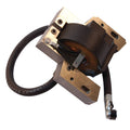 Briggs & Stratton 691060, 799651, and 592846 Ignition Coil Replacement