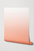 Roll of Cantaloupe Wallpaper