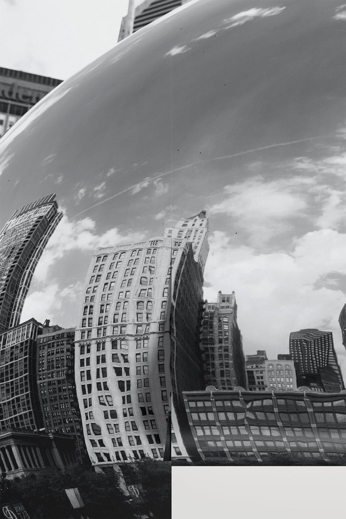 Chicago Cloud Gate Wall Mural