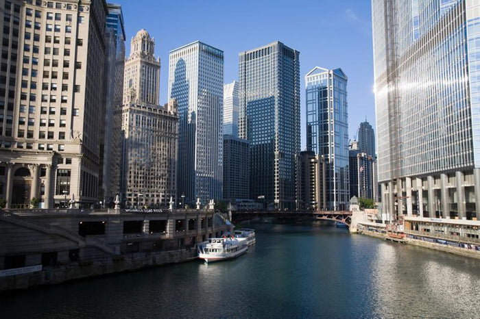 Chicago skyline Wall Mural-Wall Mural-Eazywallz