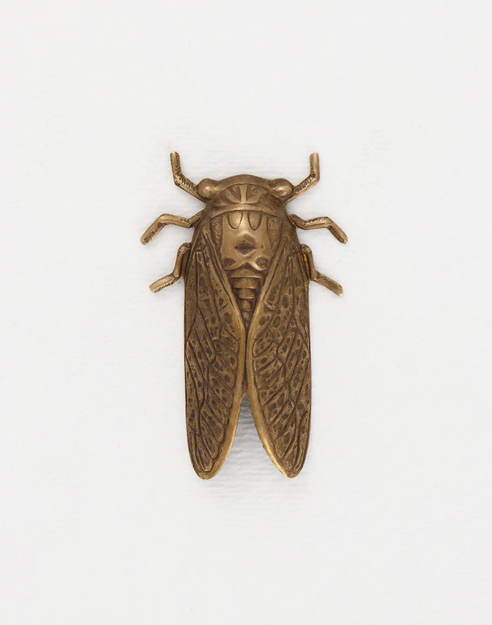 Cicada, 50x31mm, (1pc)