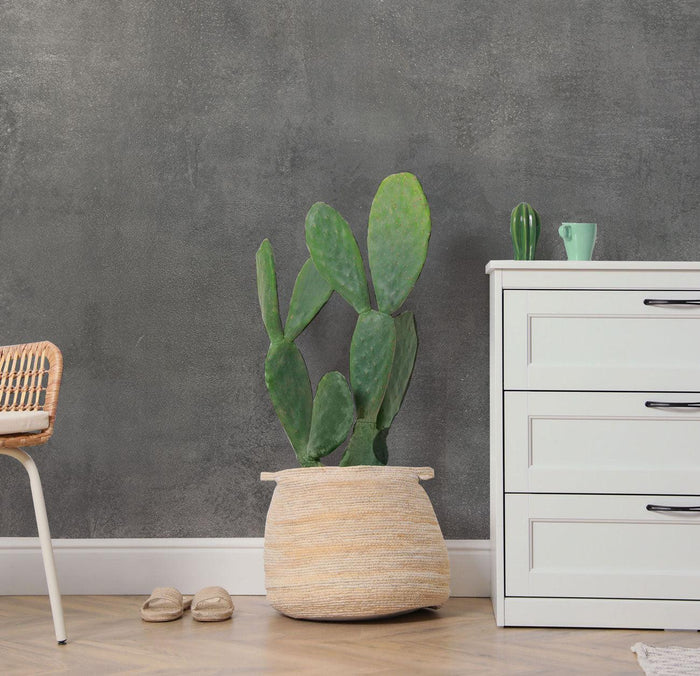 Concrete Texture 5 Wall Mural-Wall Mural-Eazywallz