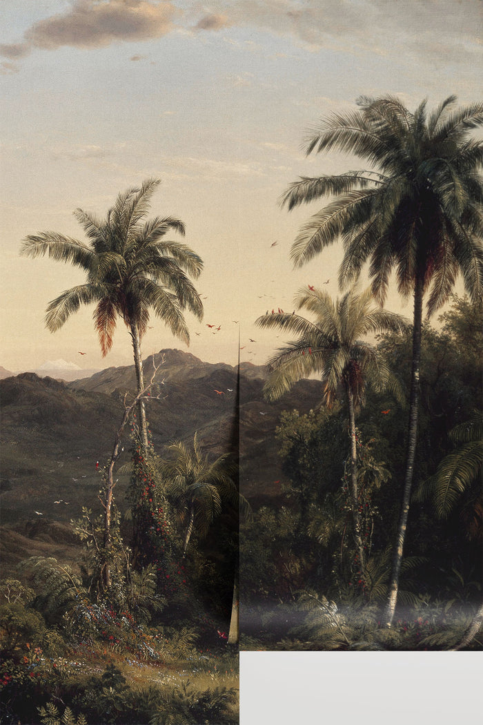 Cotopaxi Tropical