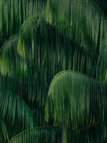 Dark Leaves 2 wall mural-Wall Mural-Eazywallz