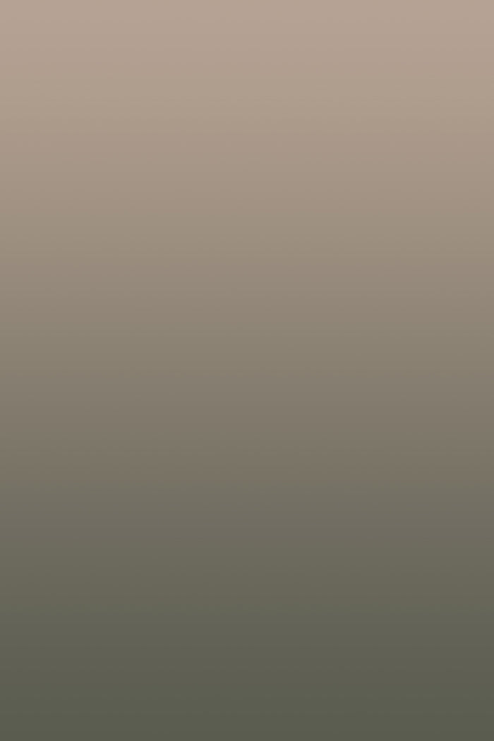 Desert Dunes