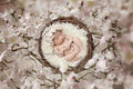 Digital Backdrop