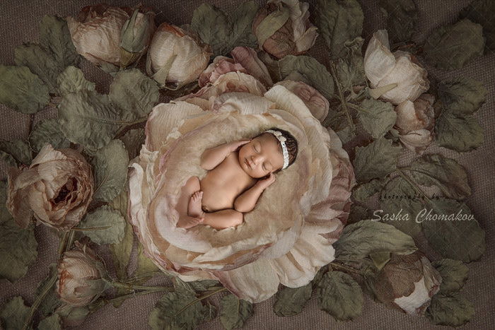 Digital Backdrop