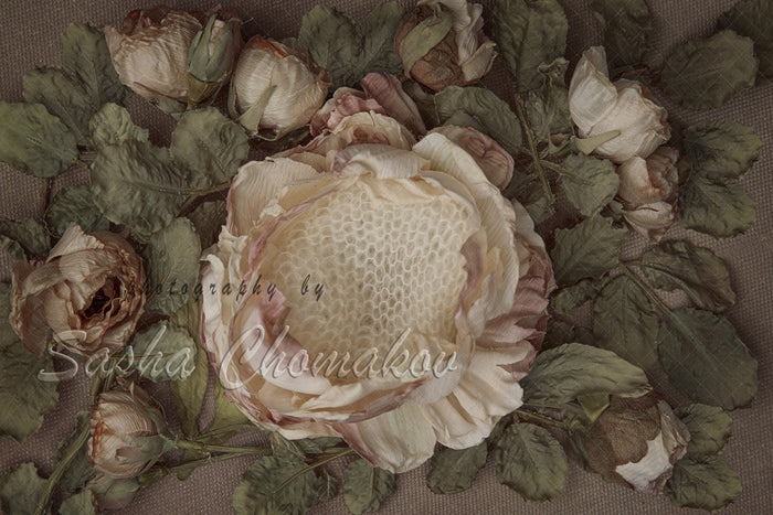Digital Backdrop