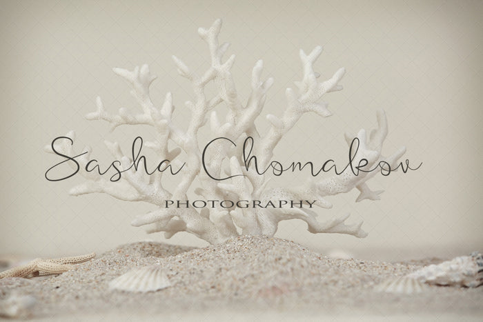 Digital Backdrop