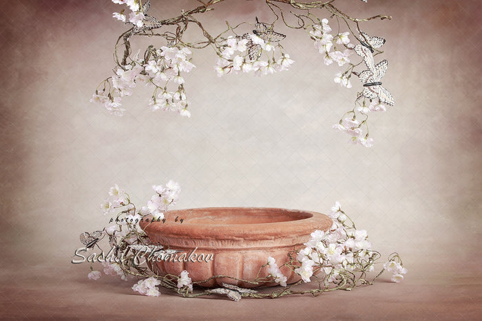 Digital Backdrop