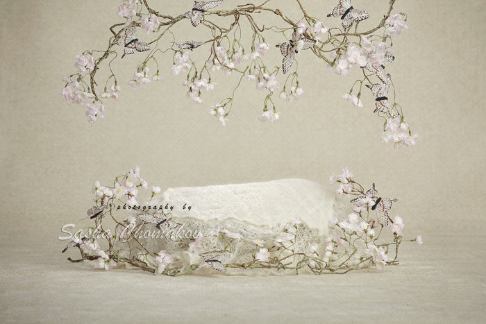 Digital Backdrop