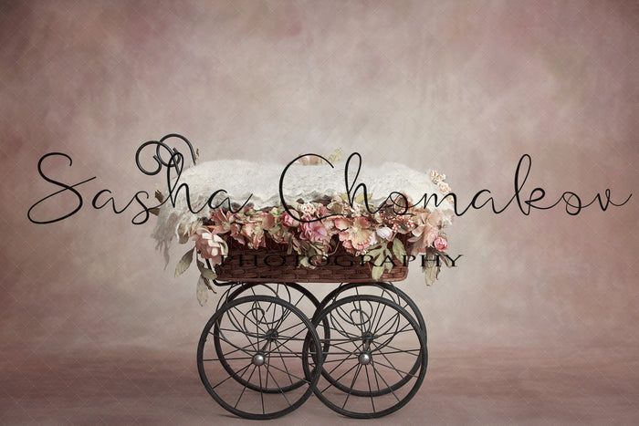 Digital Backdrop