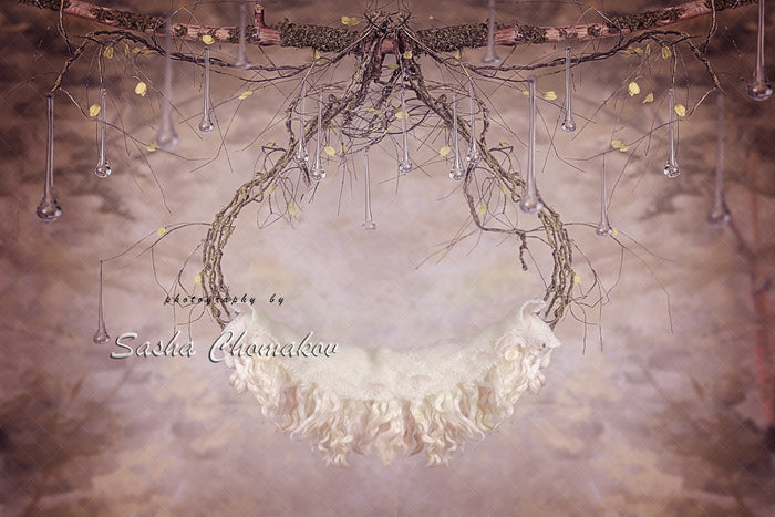 Digital Backdrop