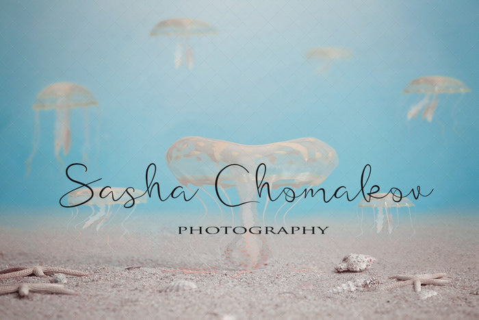 Digital Backdrop
