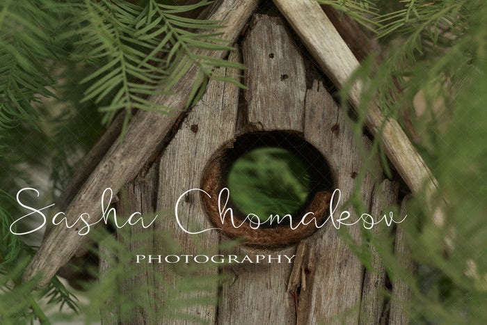 Digital Backdrop