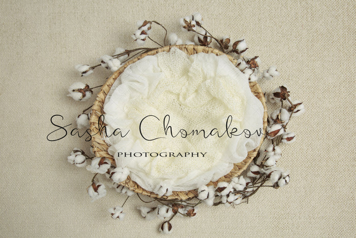 Digital Backdrop