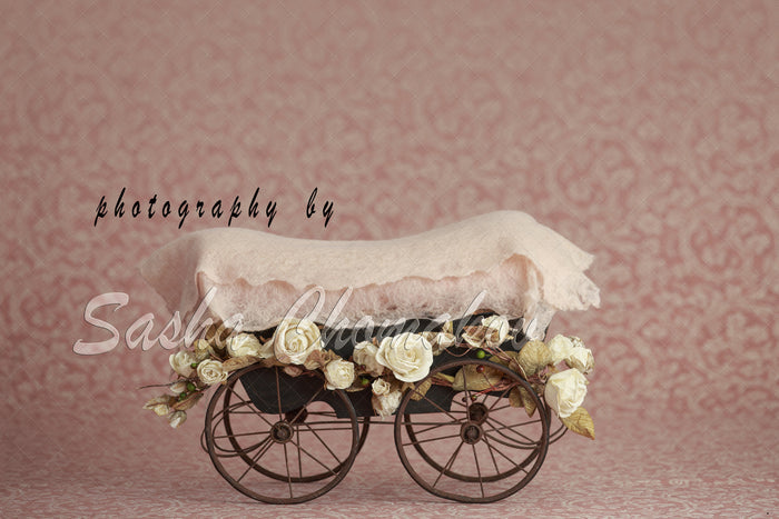 Discount Digital Backdrop