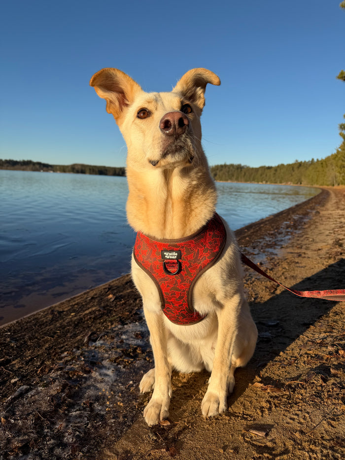 Duck Camo No-Pull Harness