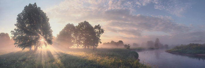Early Morning Fog Wall Mural-Wall Mural-Eazywallz
