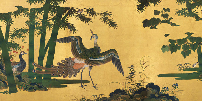 Enchanting Japanese Peacock