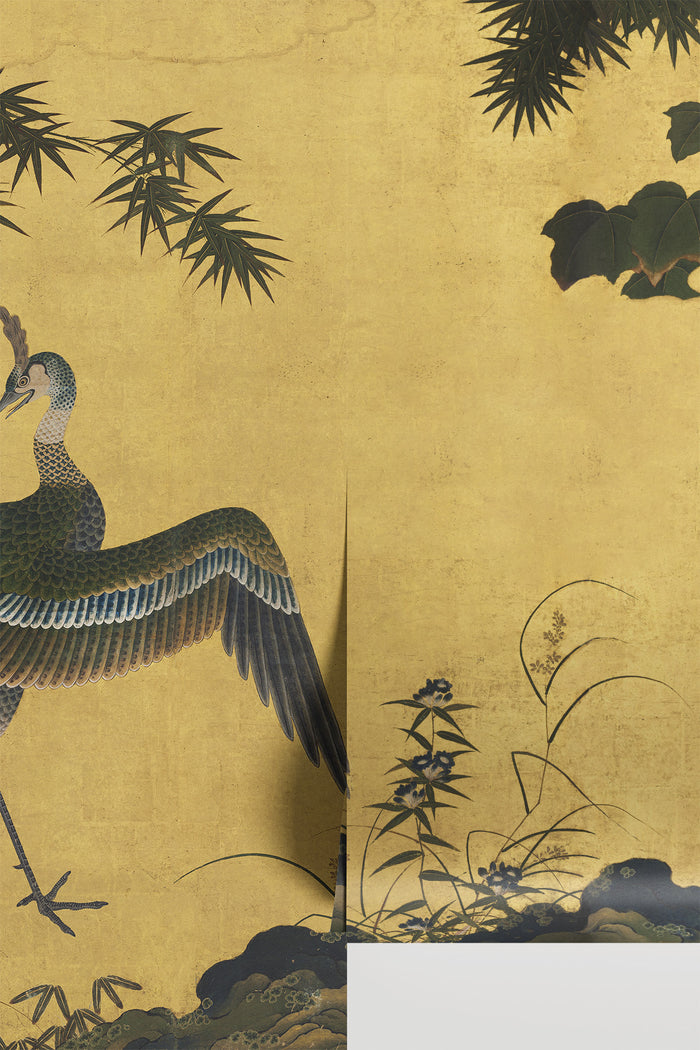 Enchanting Japanese Peacock