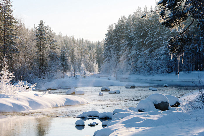 Enchanting Winter Landscape