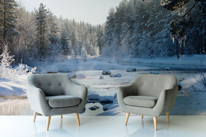 Enchanting Winter Landscape