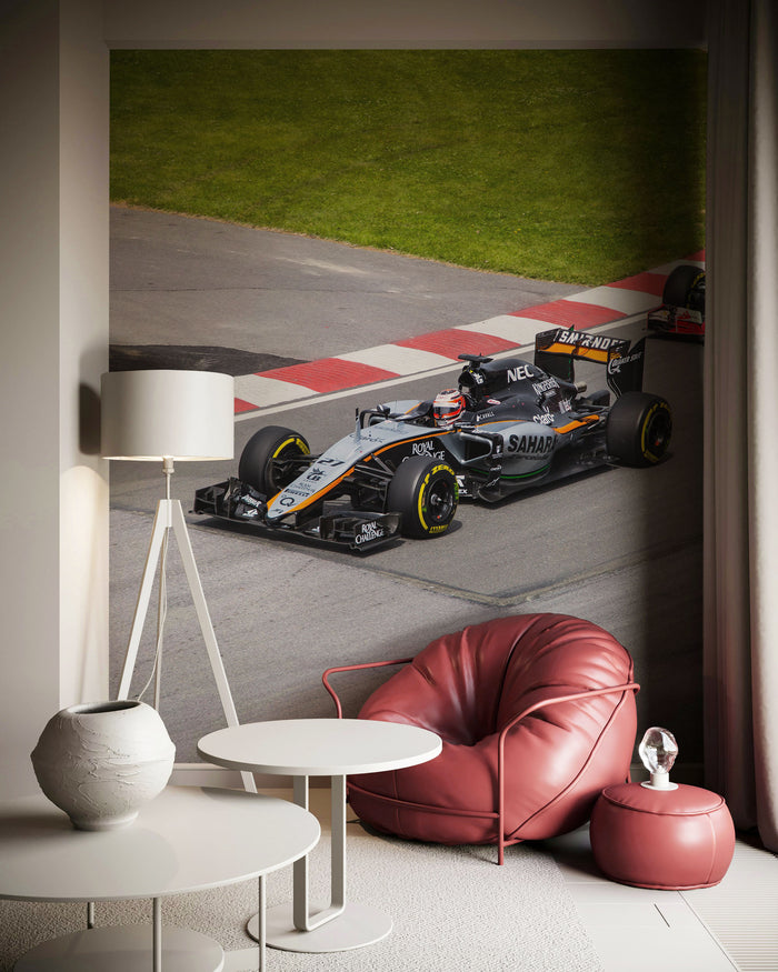 F1 Race