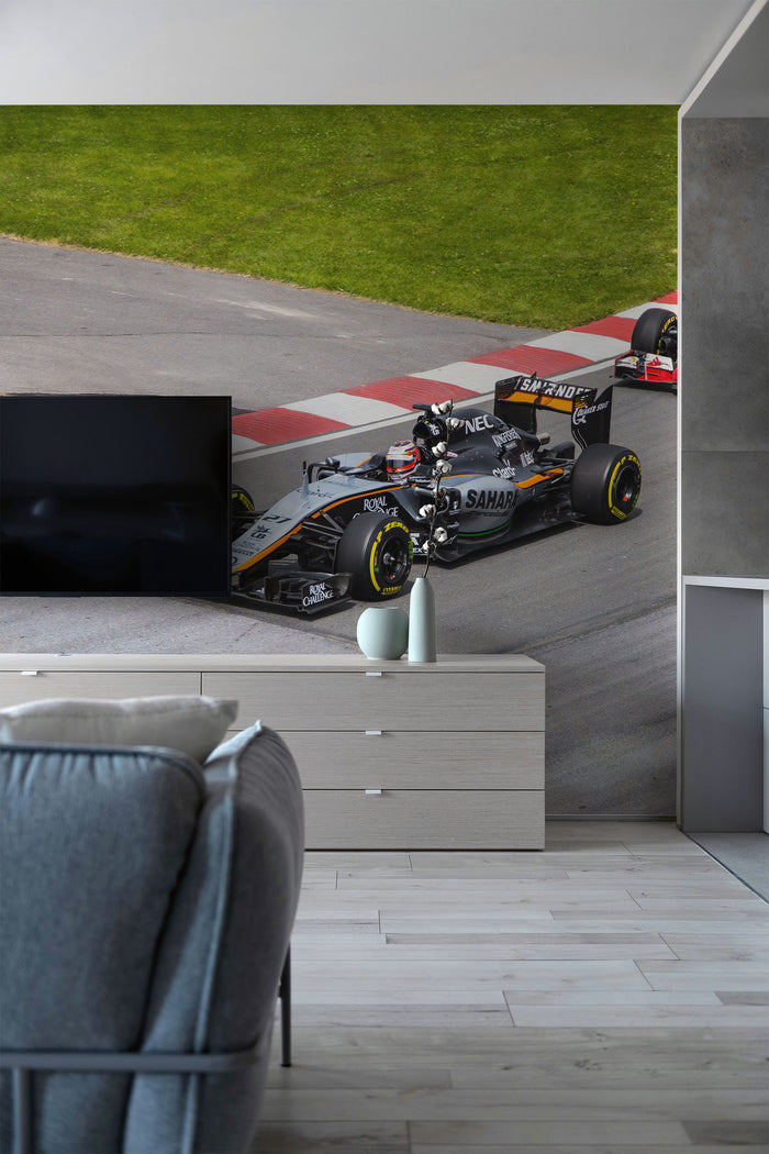 F1 Race