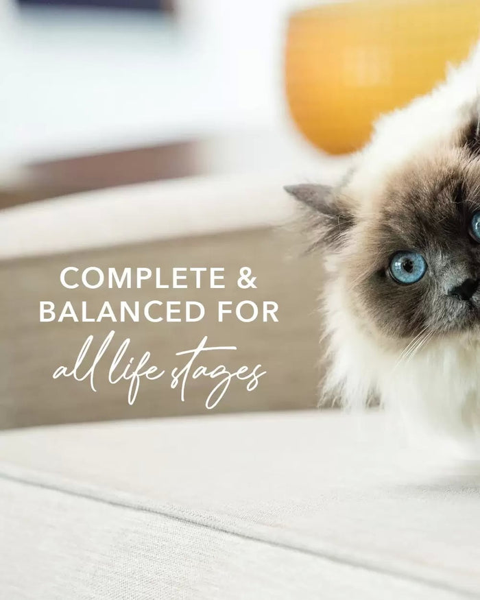 Feline Natural Freeze-Dried Lamb Feast: A blue-eyed cat on a sofa beside text promoting complete nutrition for all life stages, highlighting the product’s natural, balanced formula.